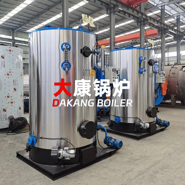 Yinchen Small Biomass Steam Boiler Mini Energy-saving Biomass Boiler for Small Processing Plant photo-5