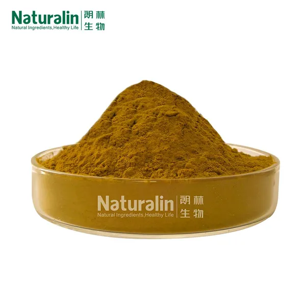 Artichoke Extract photo-3