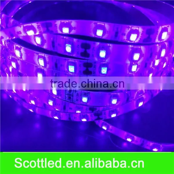Chines Factory Supply DC12V 30LEDS/M LED Strip Light Led UV Strip.led Flexible Light SMD5050 photo-3
