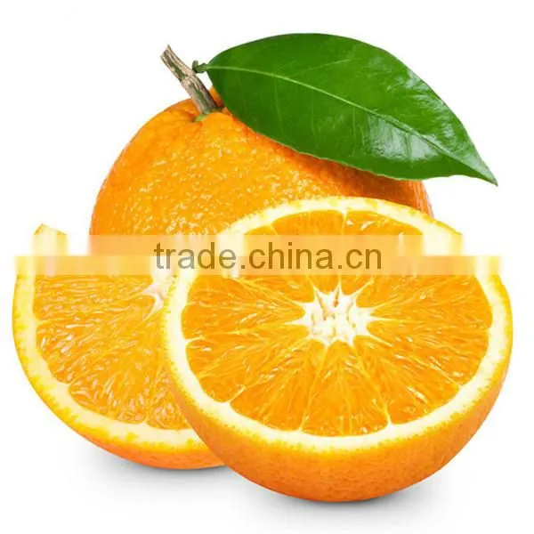 Chinese Fresh Navel Orange