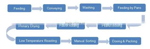 High Effcient Good Quality Salty In Shell Peanut Plant Equipment photo-6