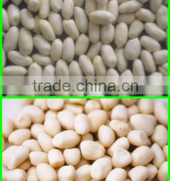 Blanched Peanut photo-3