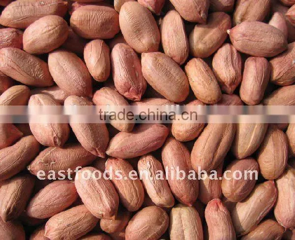 Long Type Peanut Kernel From China photo-6