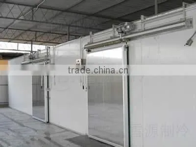 Hot Sell Chill Room for Meat and Fruit photo-2