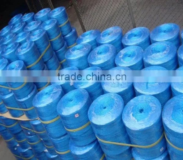 Popular Soft Greenhouse Tomato Tying Twine of Polypropylene Baler Twine photo-4