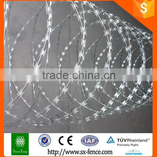 Fence Wall Plastic Bird Spikes Strip Anti Climb Spikes photo-6