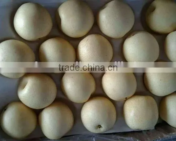 China Seasonal Fruit Asian Pear photo-5