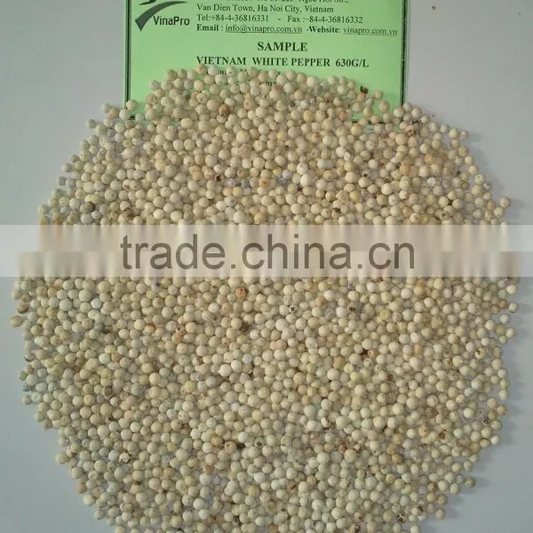VIETNAM WHITE PEPPER 600 G/L; 630 G/L photo-2