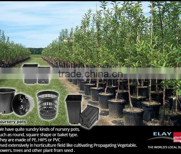 Decorative Pots photo-2