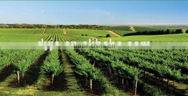 Micro Irrigation for Farm and Greening photo-5