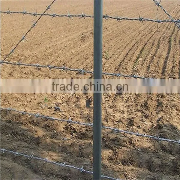 Galvanized PVC Coating Barbed Wire photo-6