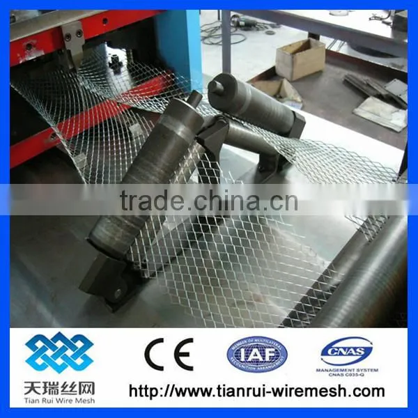 Galvanized Expanded Metal Mesh/dimond Expanded Metal Mesh photo-6