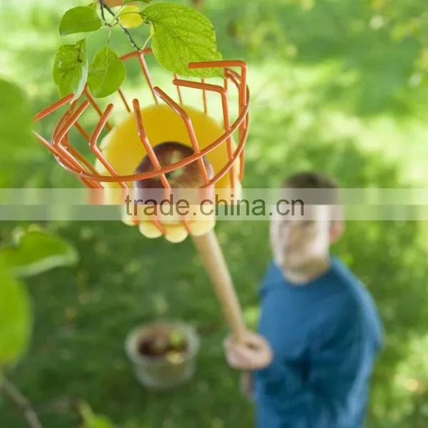 Wholesale High Quality Long Handle Telescoping Garden Tool Fruit Picker With Basket photo-5