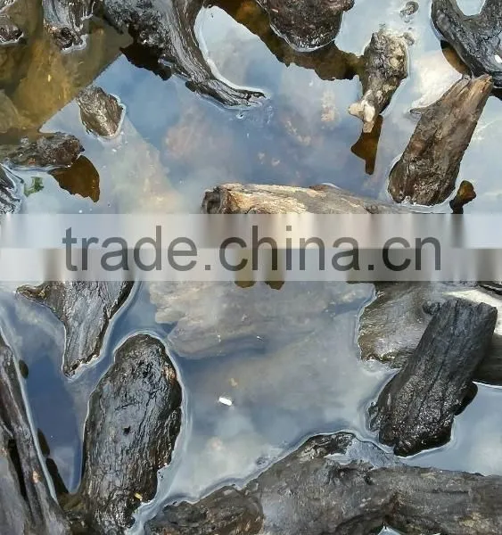 Natural Driftwoods for Aquarium Decoration photo-3
