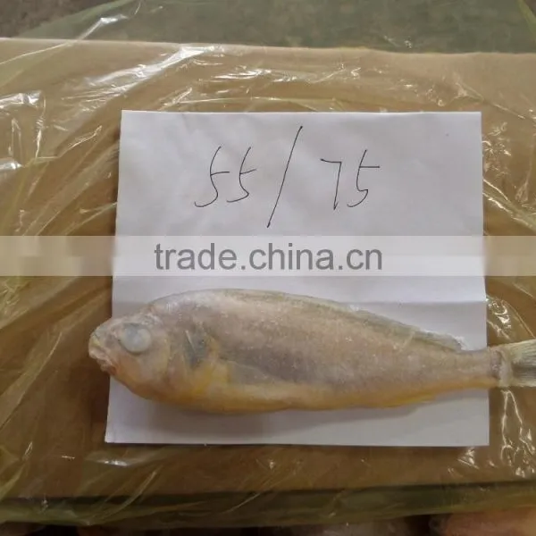 Frozen Yellow Croaker 40-100 photo-4