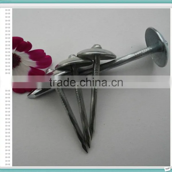 Umbrella Roofing Nails With Gunny Bag Packing photo-6