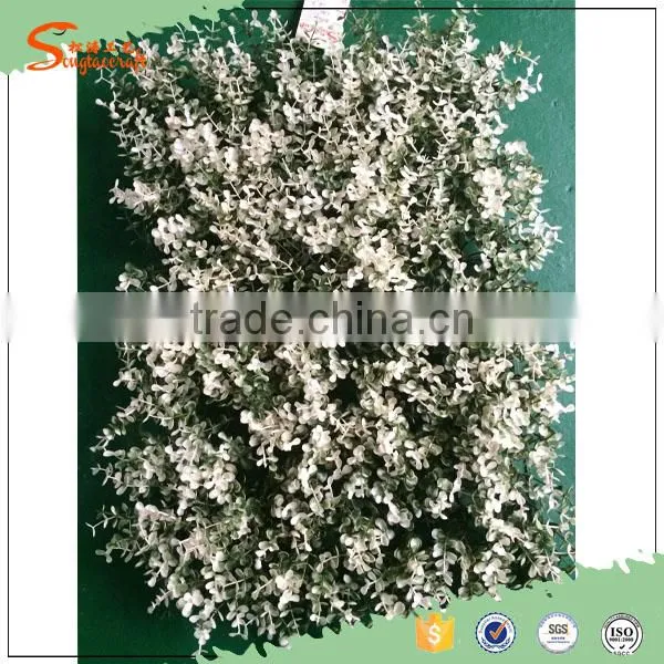 2016 International Certified Professional Leisure Venues Fire Resistant Artificial Grass Wall photo-6