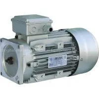 Motors for Hydraulic Car Lift