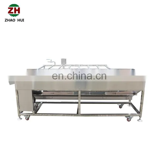 Automatic Lemon Plum Cherry Blue Berry Fruit Washer Brush Rollers Baby Carrot Potato Turnip Vegetable Washing Machine on Sale photo-2