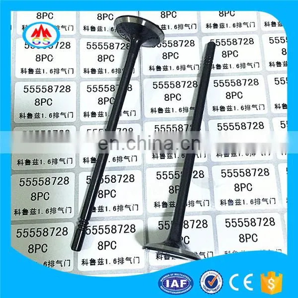 Big Bike Sports Motorcycle Parts Engine Valve for RUSI SSX CBR150 Ss-z 125 photo-2