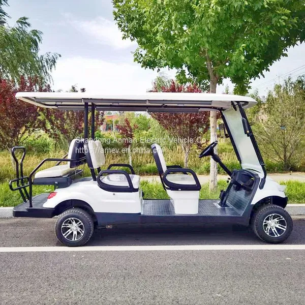 Electric Golf Sightseeing Car, Sunshade Curtain, Golf Cart photo-4