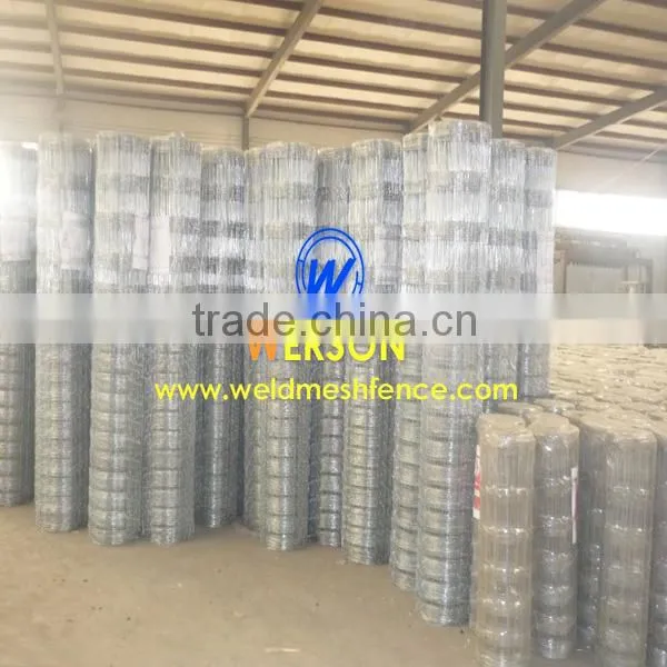 Hot Dipped Galvanized Camel Fence Used for Grassland photo-4