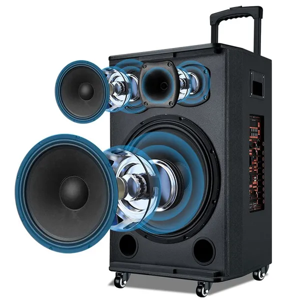 12-inch Outdoor Party Subwoofer With Bluetooth photo-2