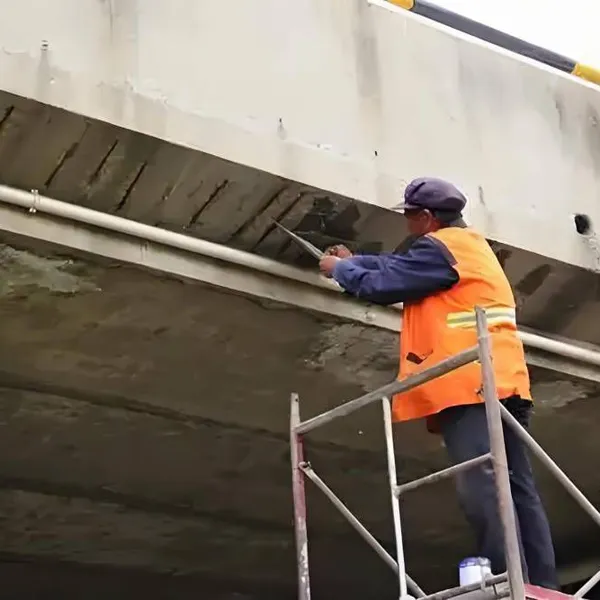 Epoxy Resin Repair Mortar, Ecm Epoxy Resin Putty, Repair and Leveling Mortar Resistant to Acids, Alkalis and Salts photo-5