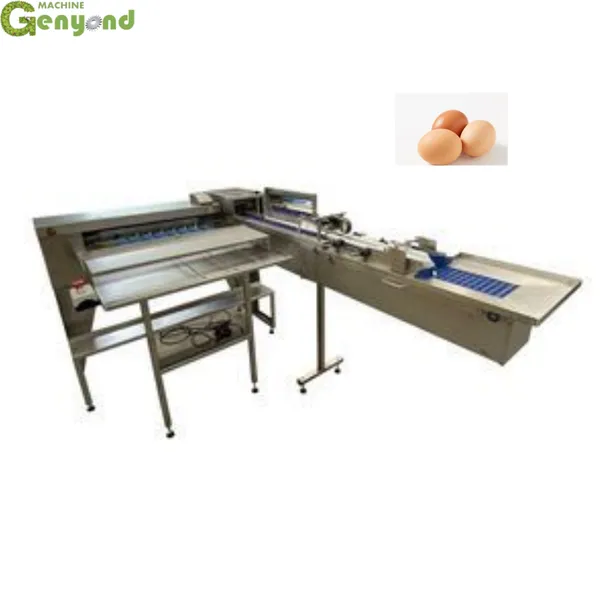 Egg Grading Machine Automatic Egg Sorting Machine Chicken Egg Sorter for Homeuse photo-2