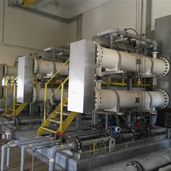15 Kg/h Seawater Electrolytic Antifouling System for Refineries photo-3