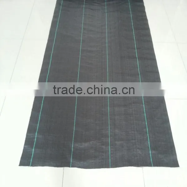 pp Woven Weed Barrier Factory photo-4