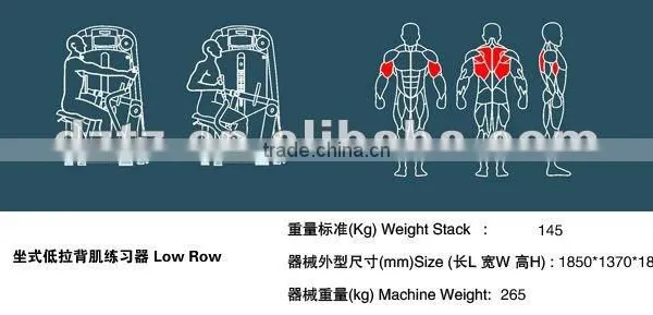 Best Selling Professional Gym Machine / TZ-6021 Low Row/Back Muscle Training photo-3