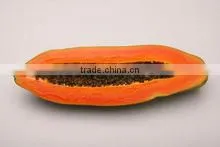 Papaya