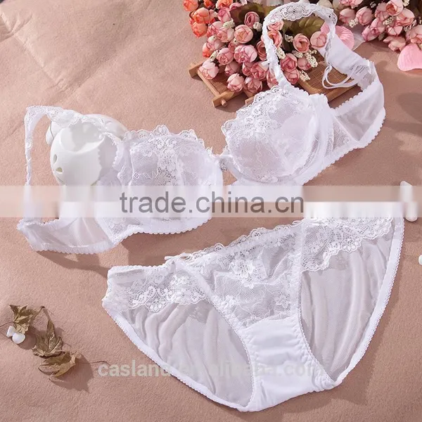 Best Selling Bridal Bra and Sexy Lace Panty(FPY323) photo-4