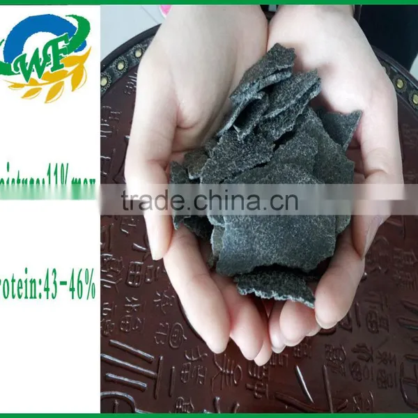 Cheap High Protein Organic Sunflower Meal for Animal Feed photo-4