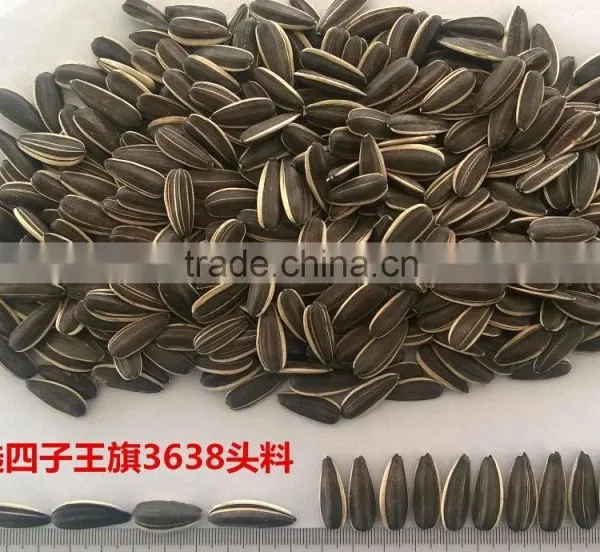 2016 New Crop Sunflower Seeds 3638 Market Price photo-4