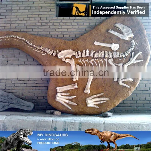 MY Dino-C091 Simulation Dinosaur Fossils Specimen Replica photo-4
