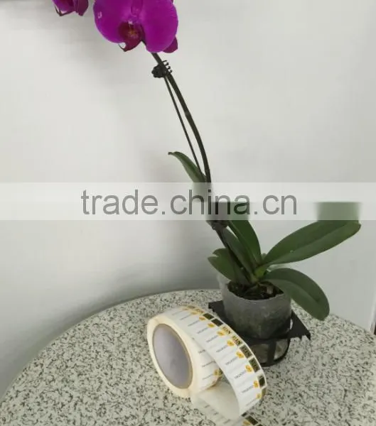 Low Price and High Quality Paper Material Labels Printed Adhesive Stickers in Roll photo-4