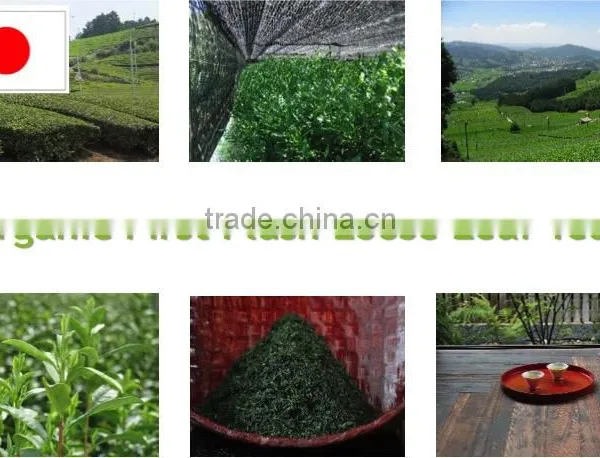 JAS Organic "SENCHA" GREEN TEA : Organic Fist Flush Loose Leaf Teas Made in Japan photo-2