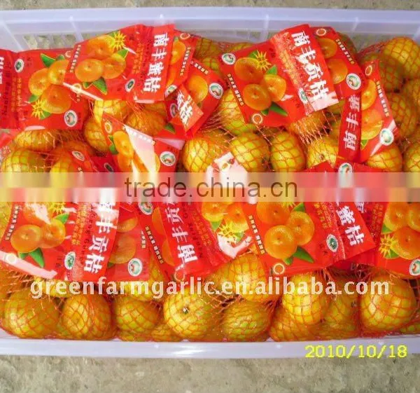 Mandarin Orange photo-2