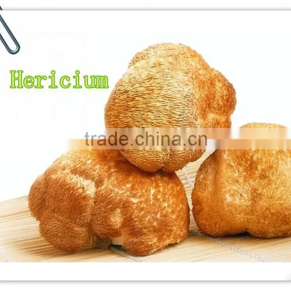 Hericium