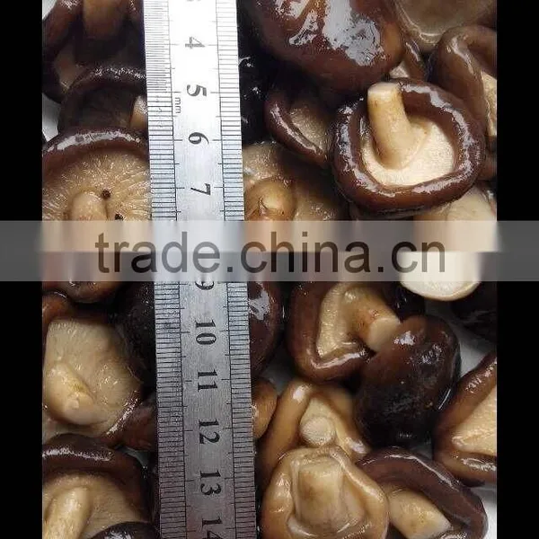 Preserved Shiitake Mushroom Mushroom for Sale Shiitake Mushrooms 50kg Drum photo-2