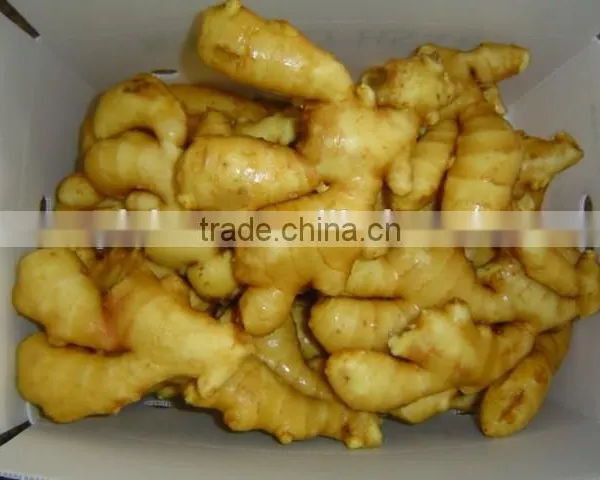 Organic Fresh Ginger photo-3