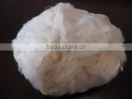 Cotton 100% photo-3