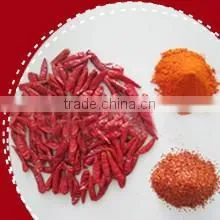 Dried Small Extra Hot Chilli/chilli Powder/flakes Chilli