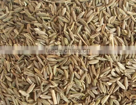 Europe Quality Cumin Seed for Best Price photo-4