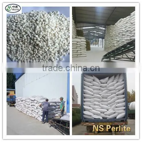 High Quality Expanded Perlite as Growing Medium for Greenhouse and Hydroponics photo-6