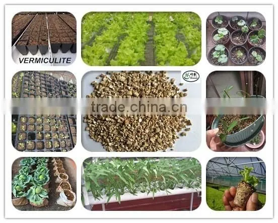 Coarse Expanded Vermiculite as Growing Medium for Organic Gardening photo-6
