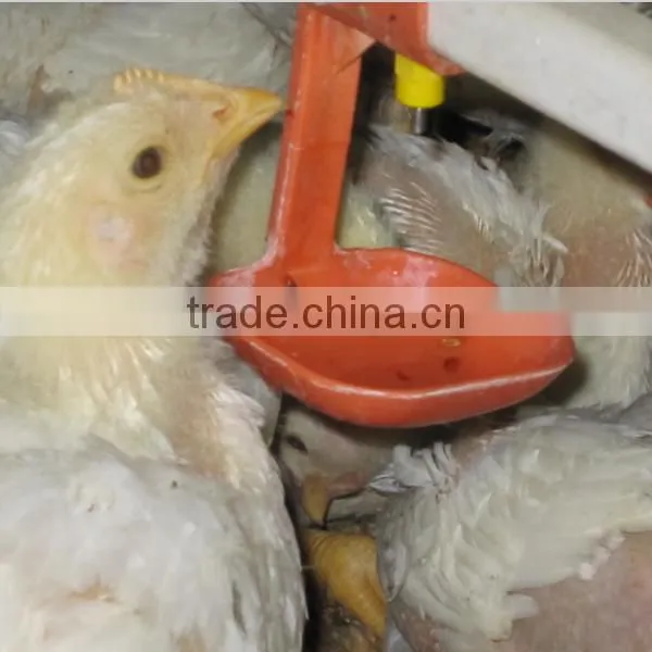 Automatic Chicken Farm Supplies Farm Equipment Chicken photo-3