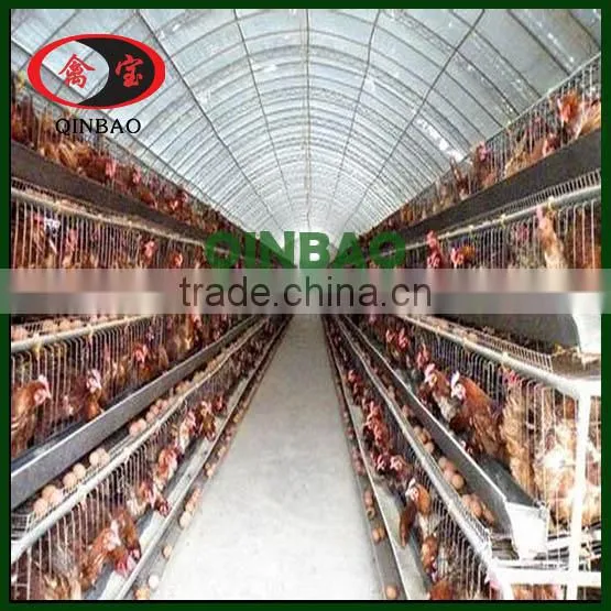 High Quality Poultry 4 Layer Chicken Cages for Poultry Chicken Egg Cages Farm photo-2